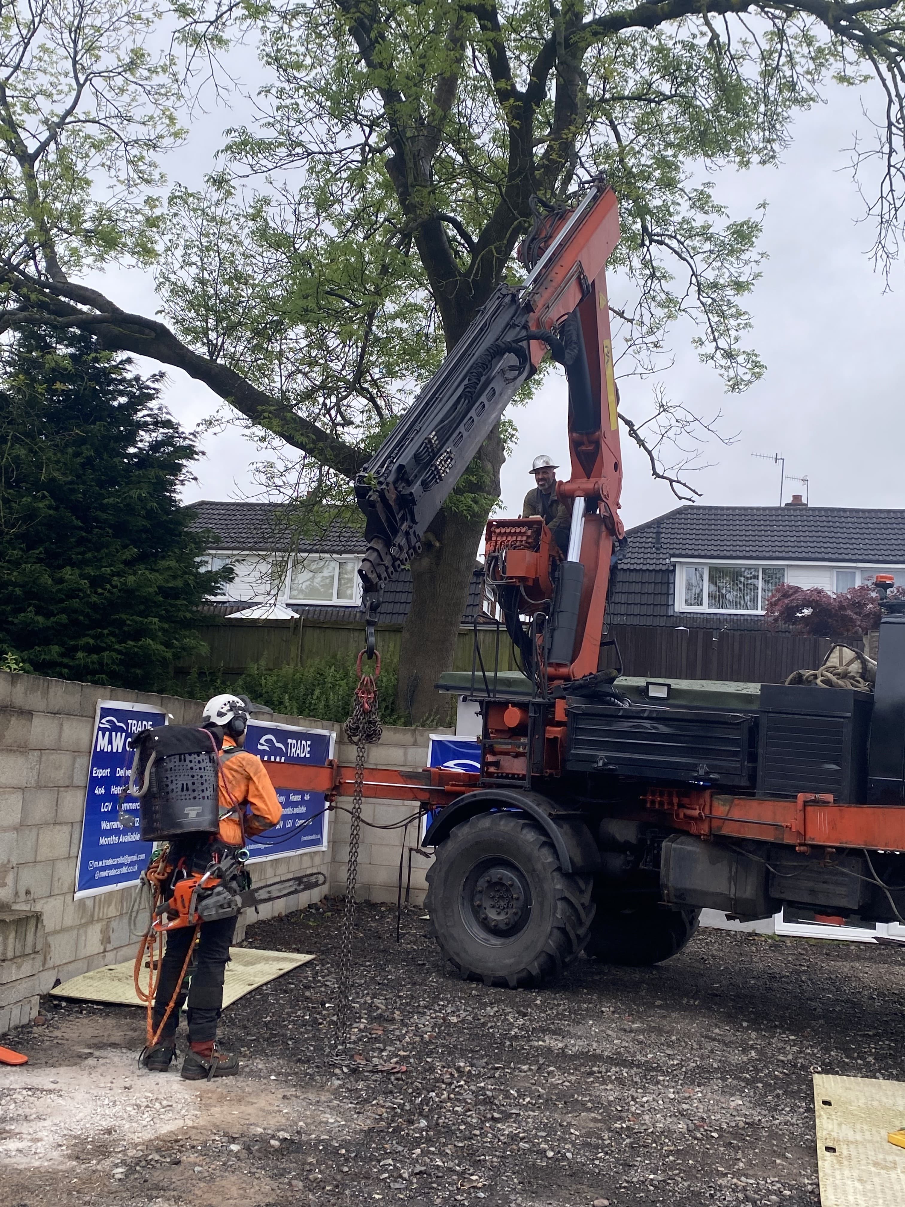 Tree work completed